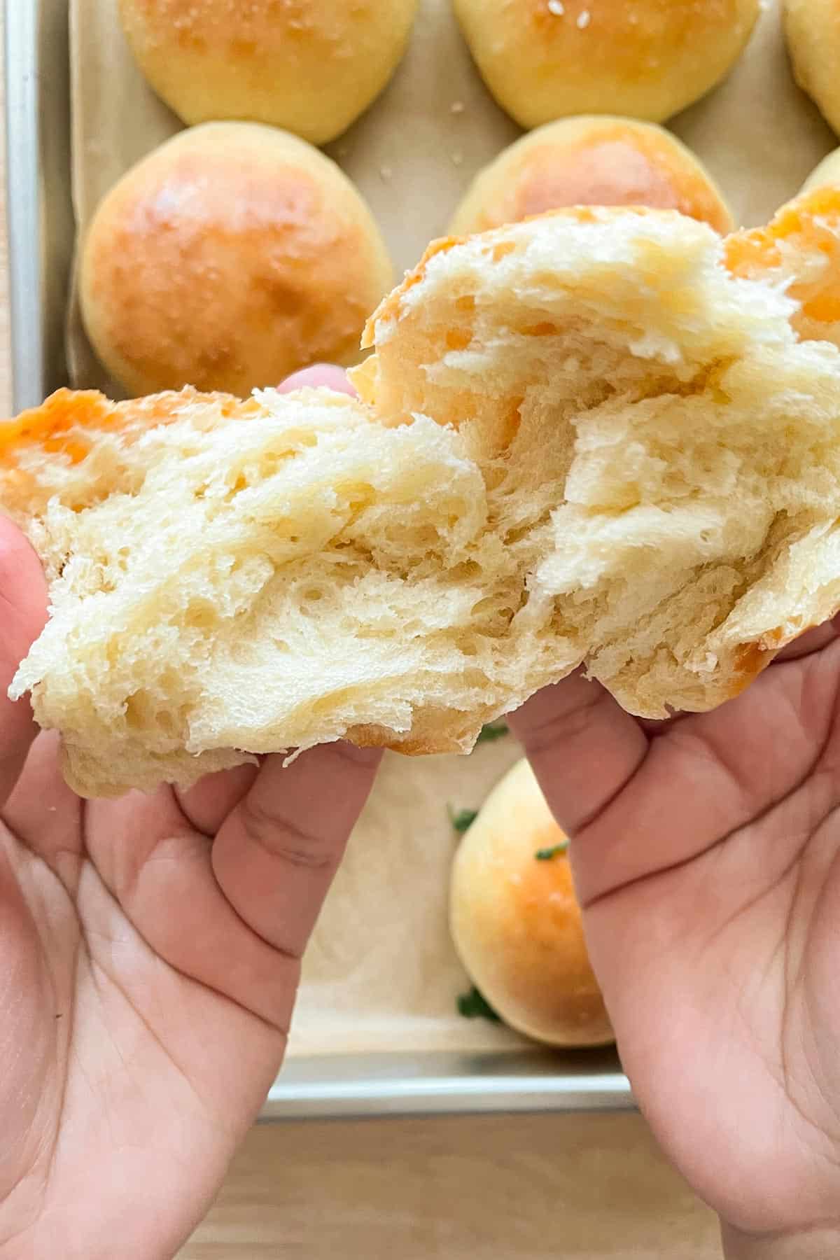 two hands opening a freshly backed potato bread roll with a tray full of rolls in the background.