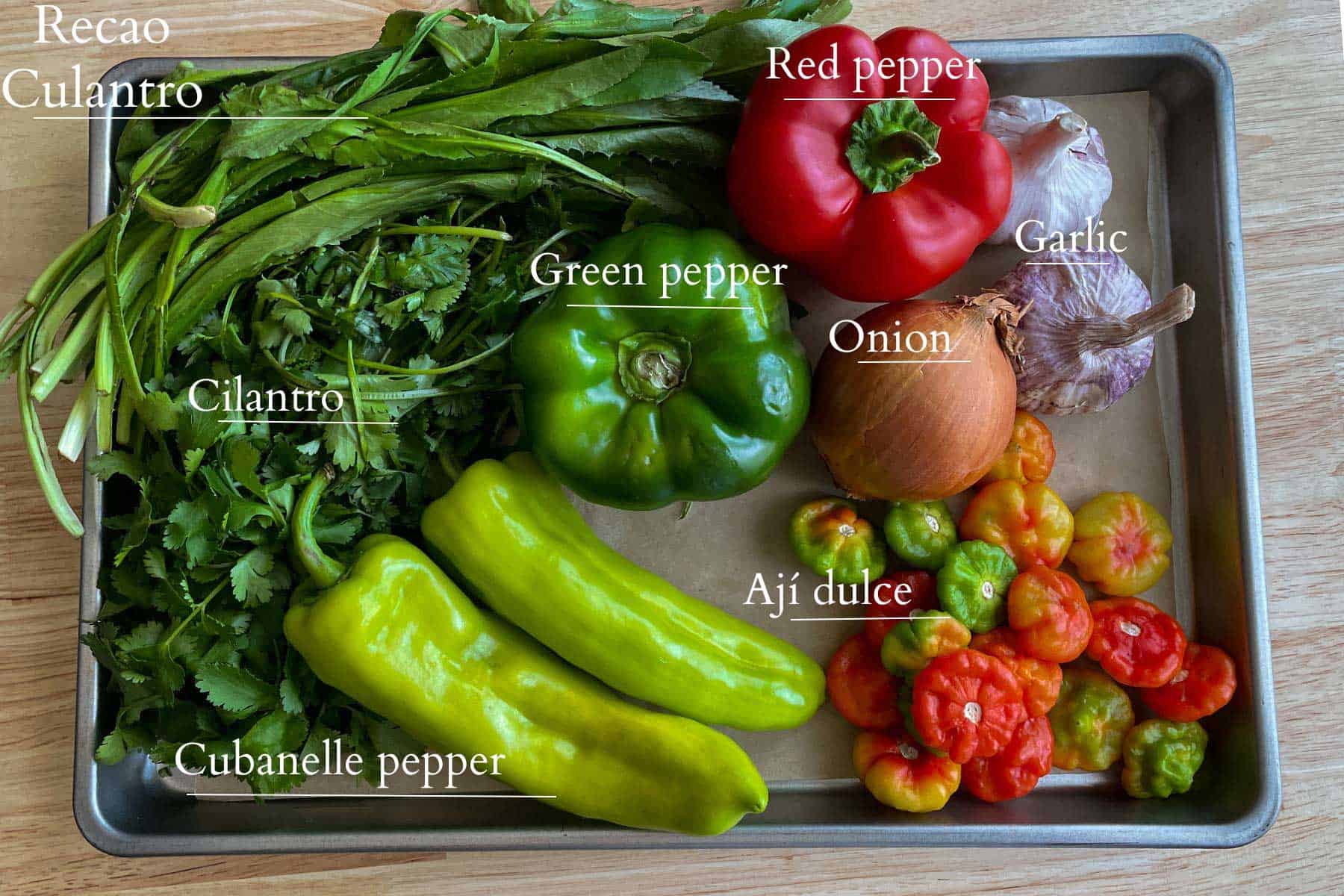 ingredients needed to make puerto rican sofrito. these ingredients are recao- culatro, cilantro, cubanelle pepper, green pepper, red pepper, garlic, onion and aji dulce.