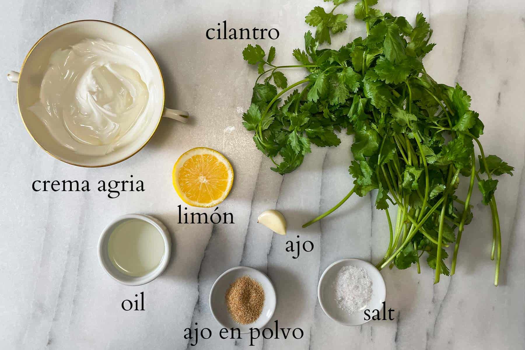 ingredientes necesarios para preparar una salsa de cilantro.