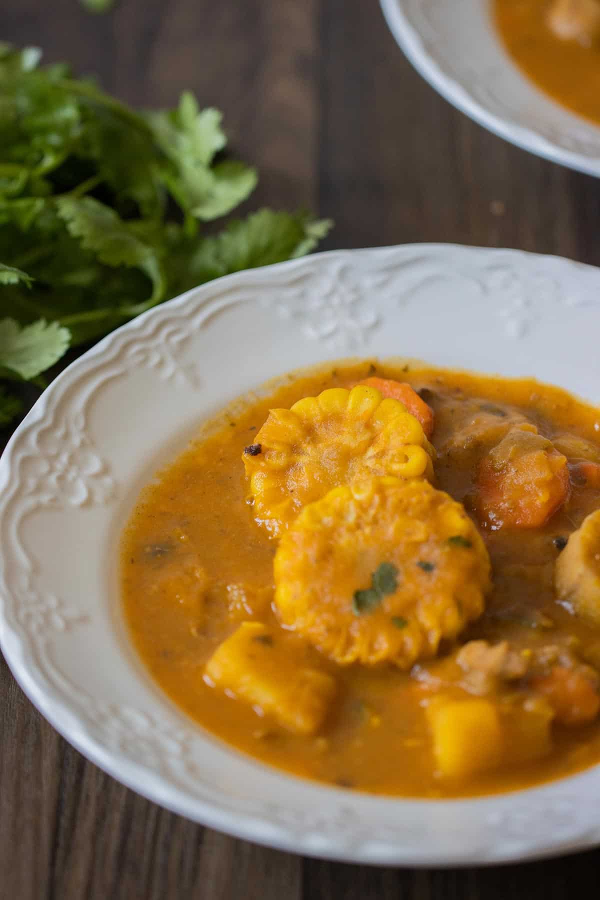 close up of a plate with sancocho.