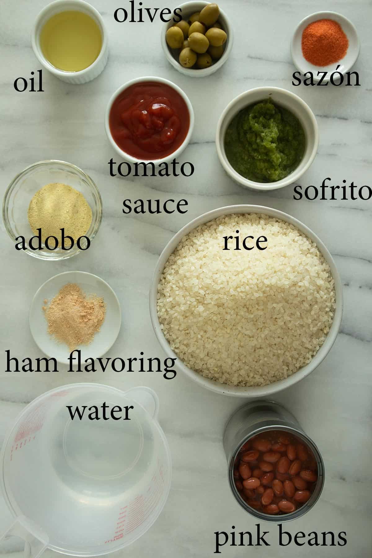 ingredients needed to make puerto rican rice and beans.