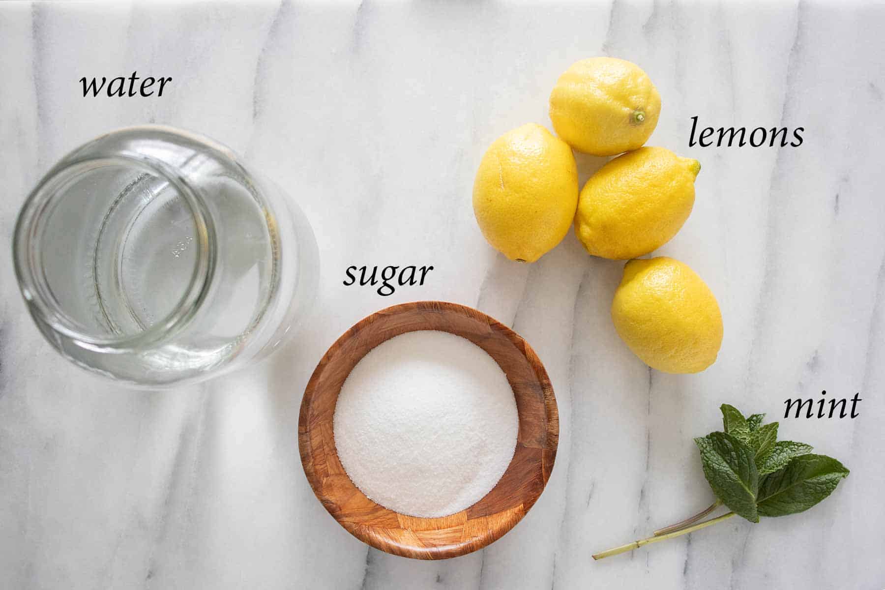 all the ingredients needed to make a lemon mint juice.