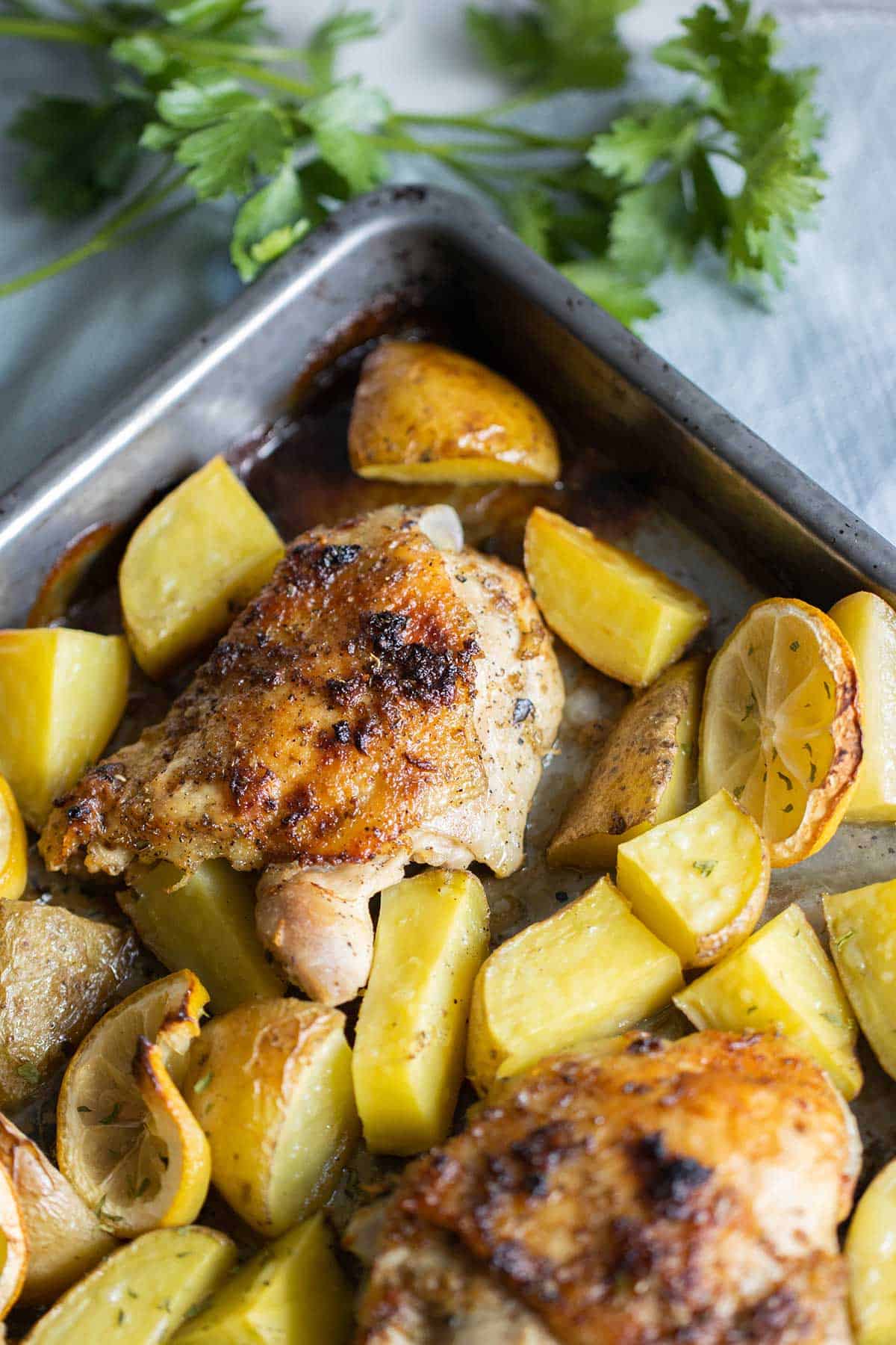 side view of a tray with potatoes chicken and lemons with a couple of parsley twigs on the side.