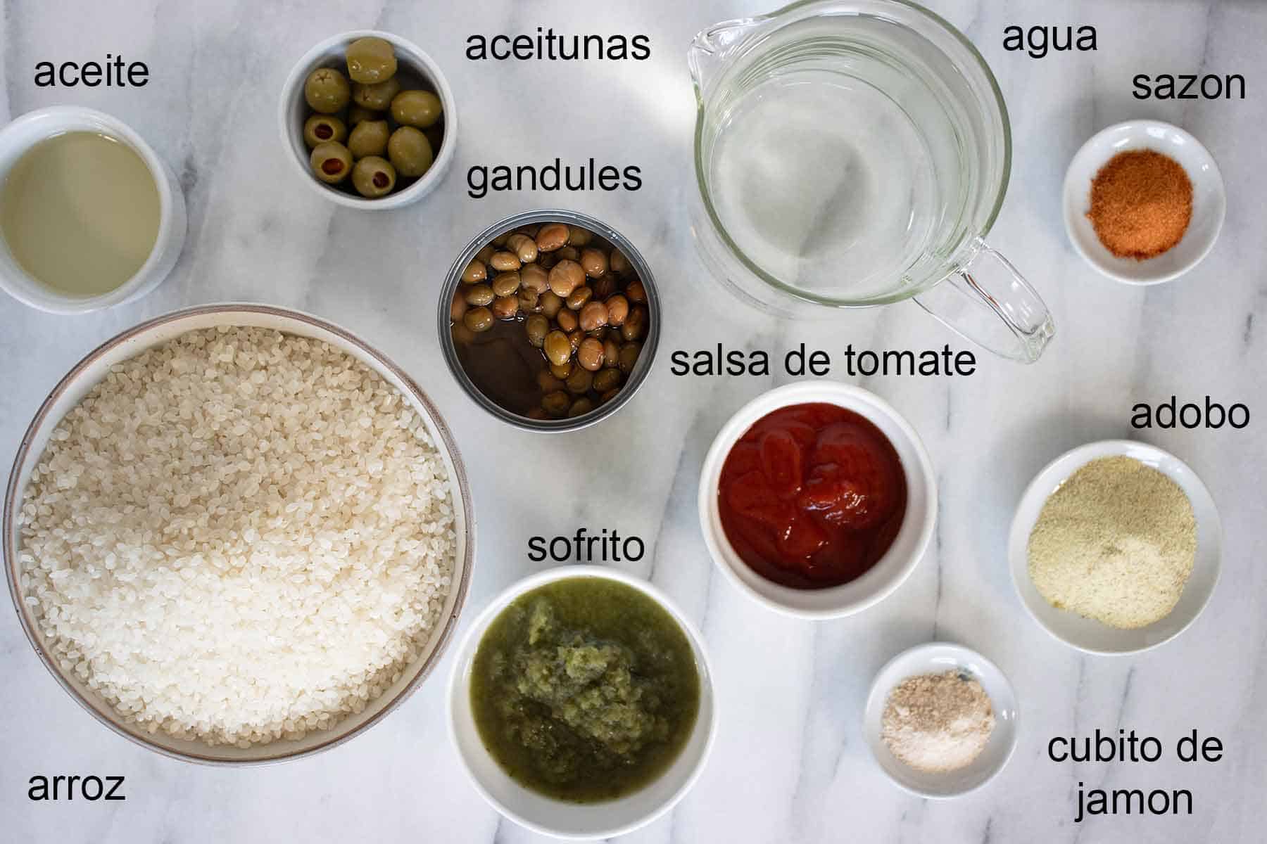 ingredientes para hacer un arroz con gandules al estilo puertorriqueno.