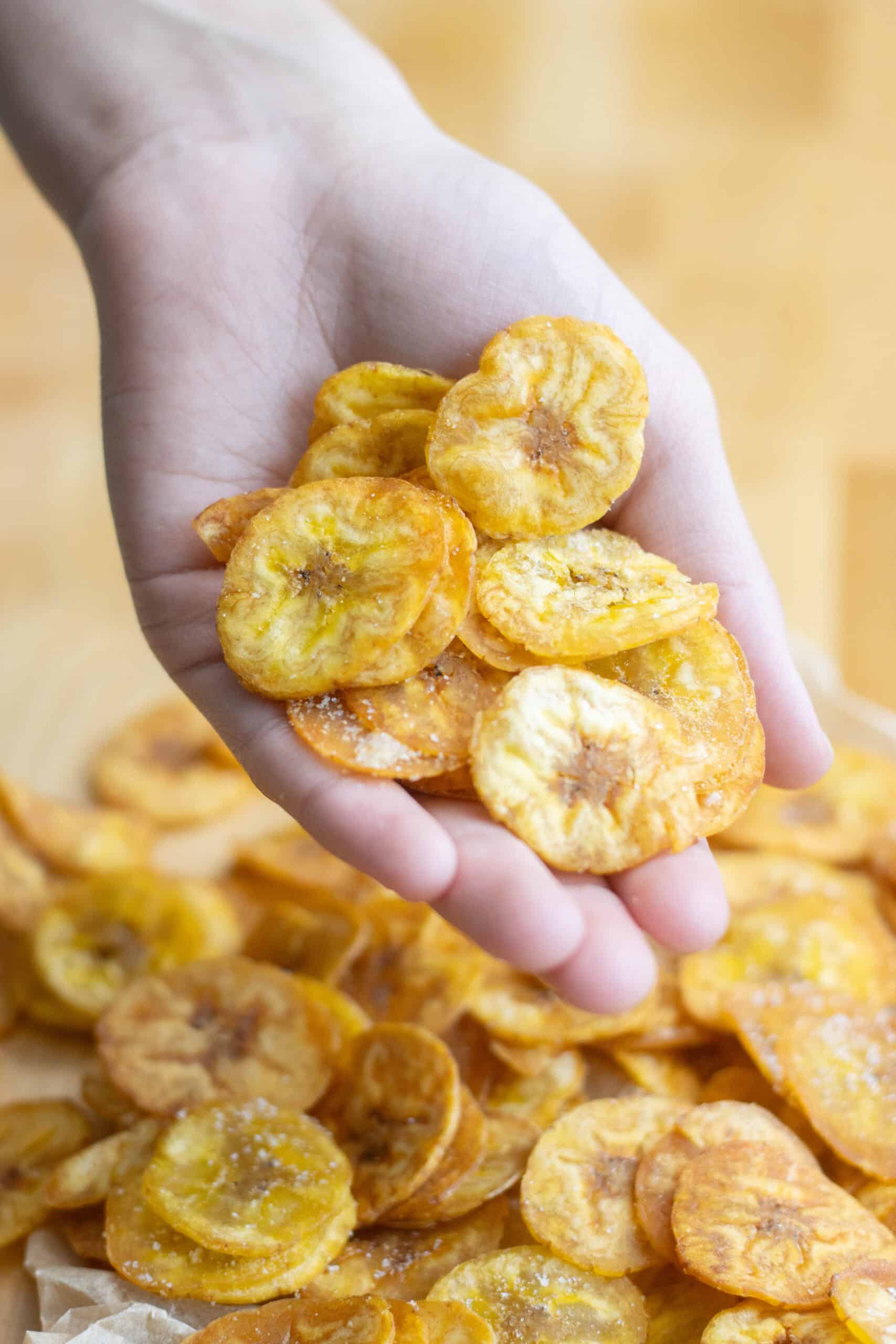 a hand holding a bunch of platanutres or plantain chips.