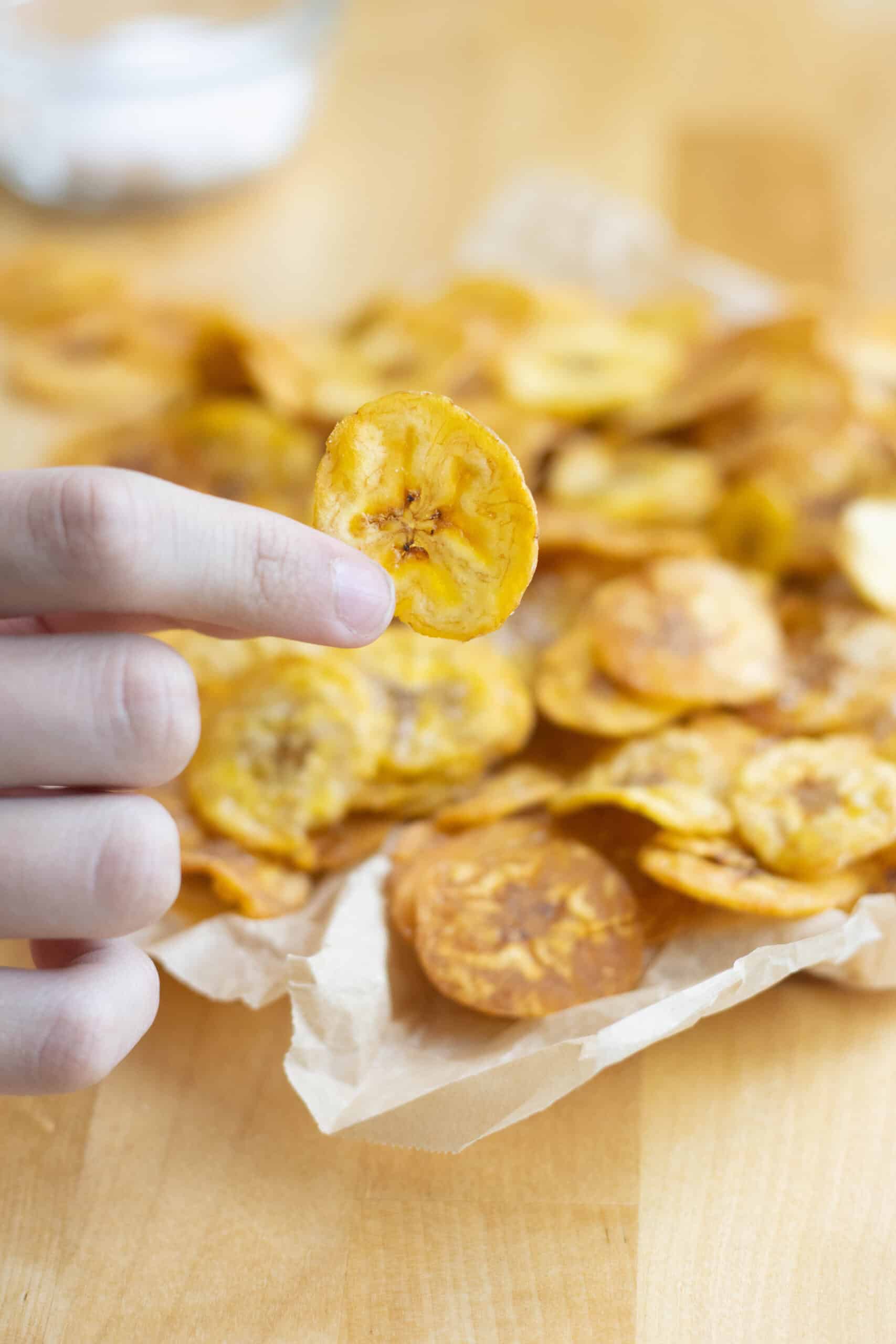 a hand holding a plantain chip with a bunch of chips on a table in the background.